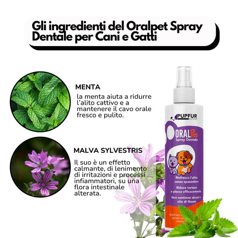 OralPet - Spray Dentale