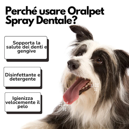 OralPet - Spray Dentale